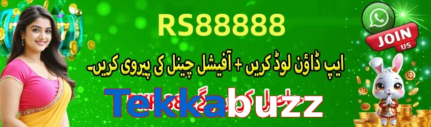 Tekkabuzz interface sample